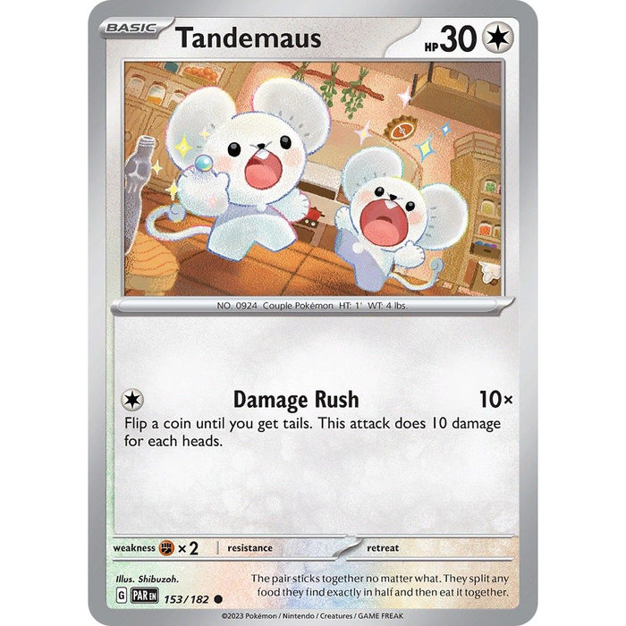 Tandemaus - 153/182
