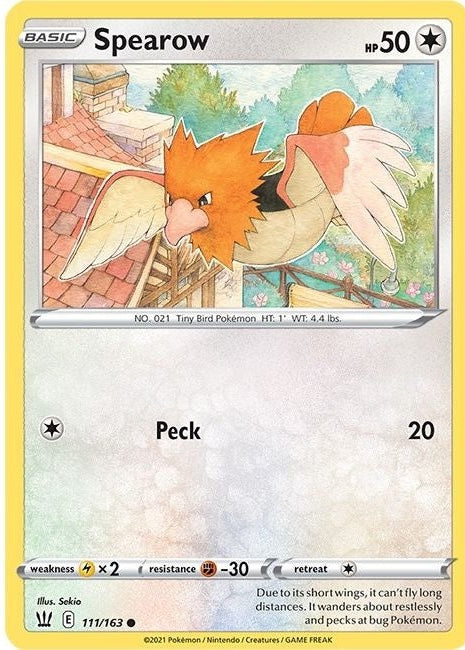 Spearow