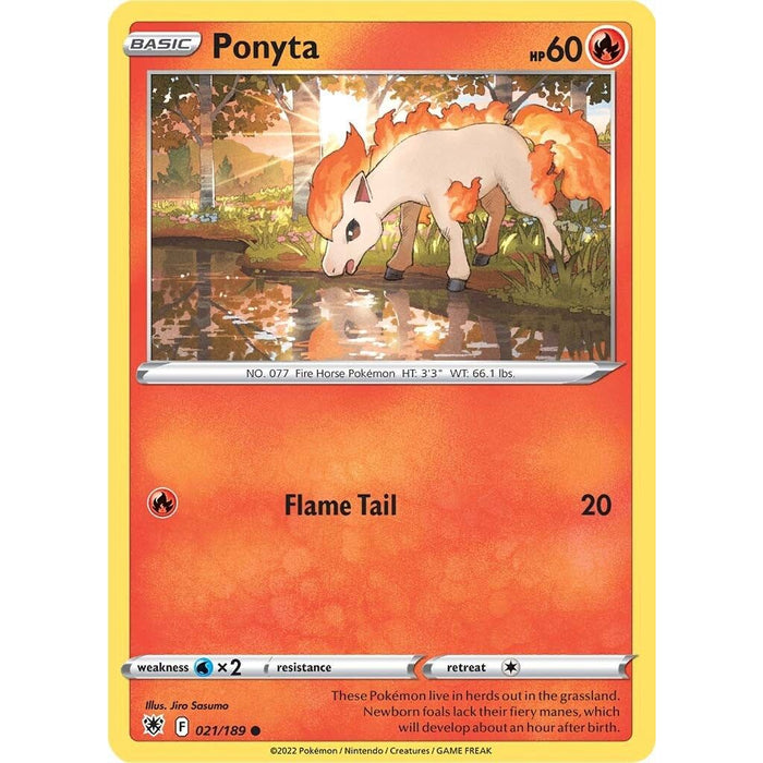 Ponyta