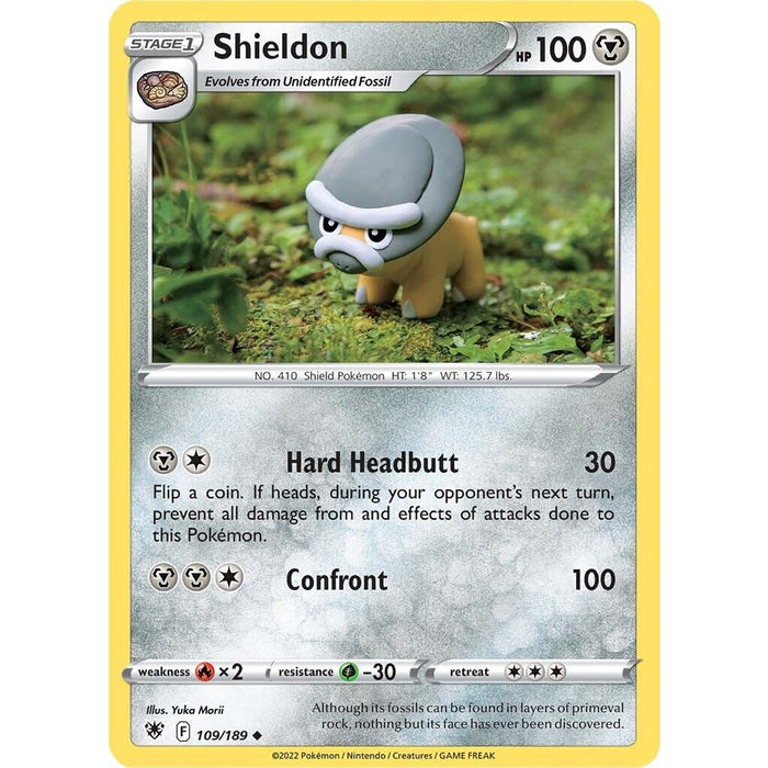 Shieldon