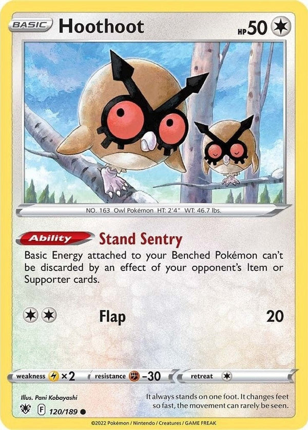 Hoothoot