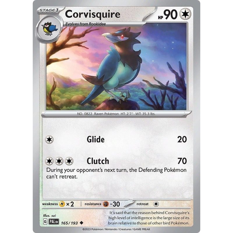 Corvisquire