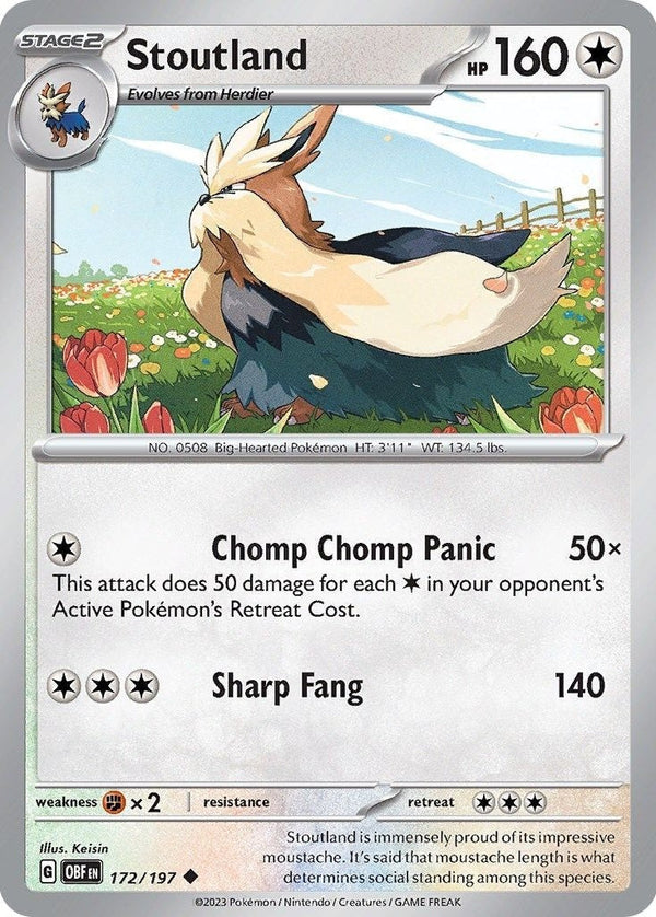 Stoutland - 172/197 Uncommon Pokémon card from Obsidian Flames, Near Mint Normal