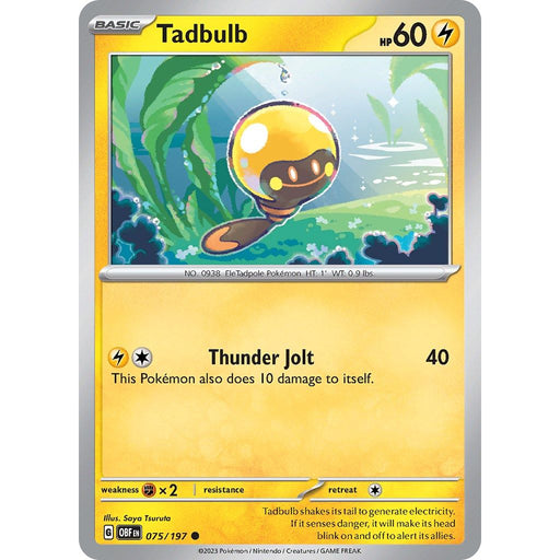 Tadbulb 075/197