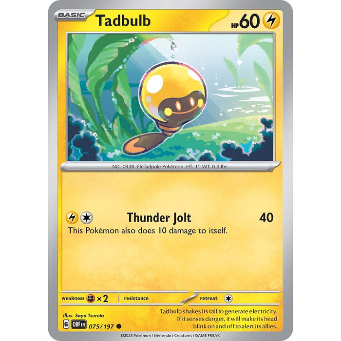 Tadbulb 075/197