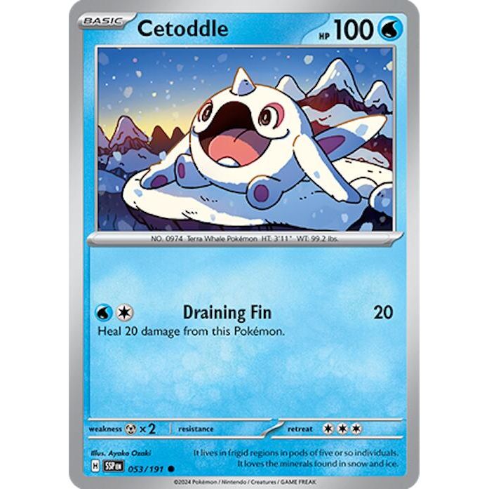 Cetoddle