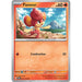 Pansear [SSP - 022/191]