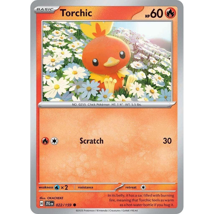 Torchic [JTG - 022/159]