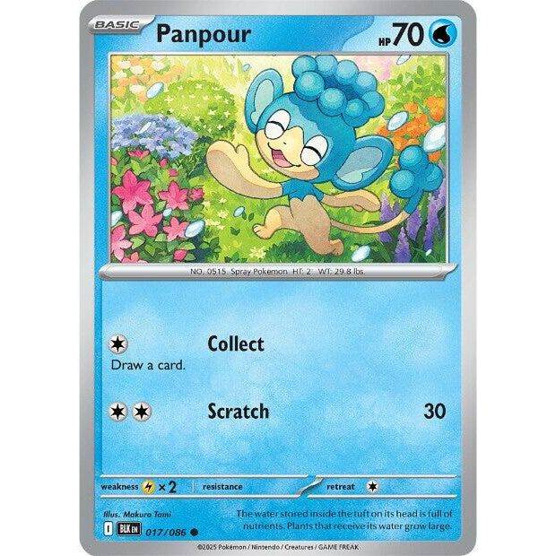 Panpour [BLK - 017/086]
