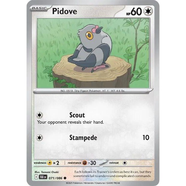 Pidove [BLK - 071/086]