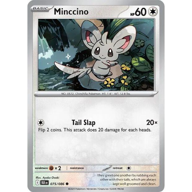 Minccino [BLK - 075/086]
