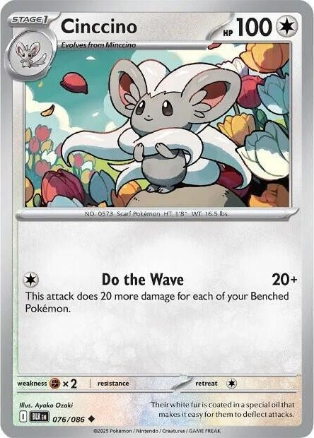 Cinccino