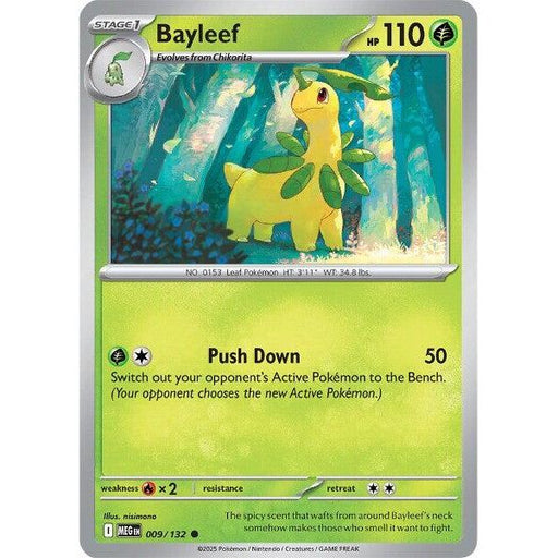 Bayleef