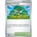 Forest of Vitality