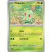 Chikorita
