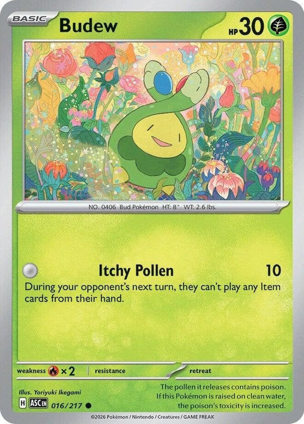 Budew - 016/217 Common Pokémon card from Ascended Heroes, Near Mint Normal