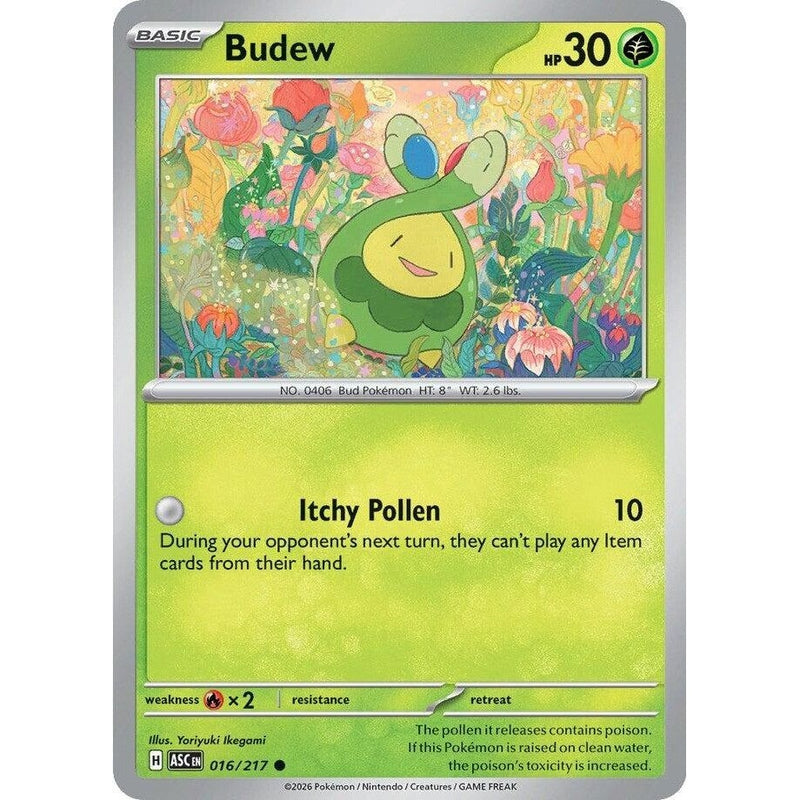 Budew - 016/217 Common Pokémon card from Ascended Heroes, Near Mint Normal