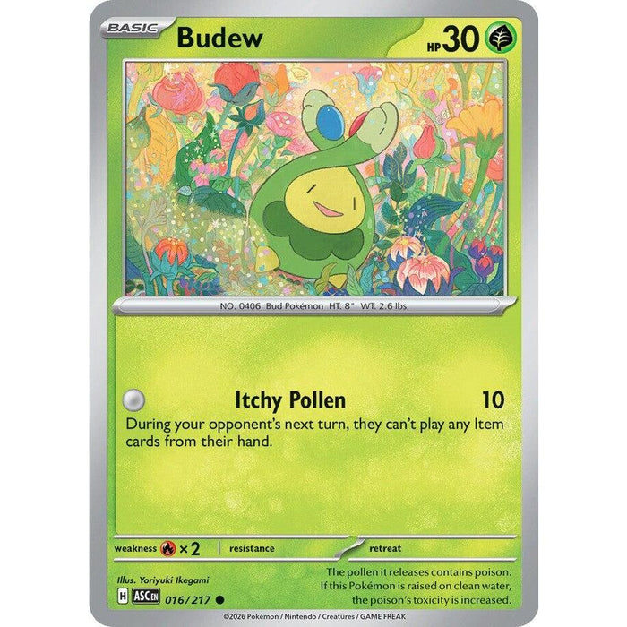 Budew - 016/217