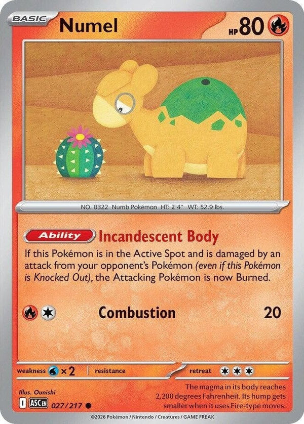 Numel - 027/217 Common Pokémon card from Ascended Heroes, Near Mint Normal