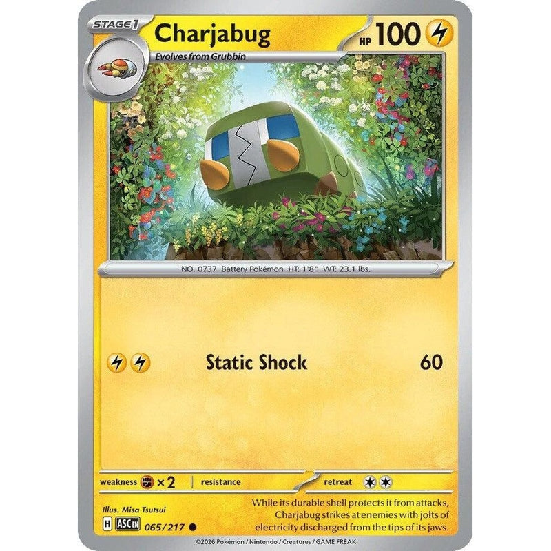 Charjabug - 065/217 Common Pokémon card from Ascended Heroes, Near Mint Normal