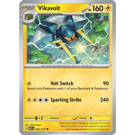 Vikavolt - 066/217