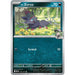 N's Zorua