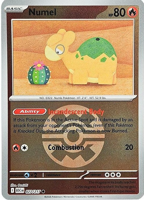 Numel - 027/217 (Quick Ball) - 027/217 Common Pokémon card from Ascended Heroes, Near Mint Reverse Holofoil