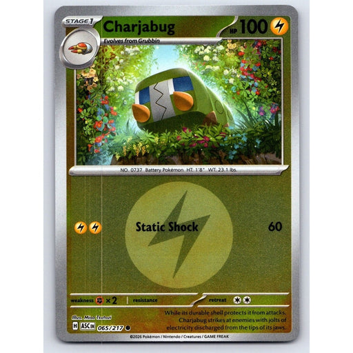 Charjabug (Energy Symbol Pattern) - 065/217 Common Pokémon card from Ascended Heroes, Near Mint Reverse Holofoil