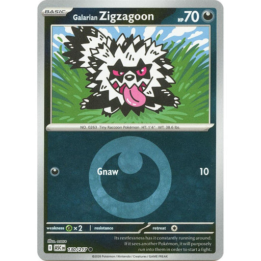 Galarian Zigzagoon (Energy Symbol Pattern)
