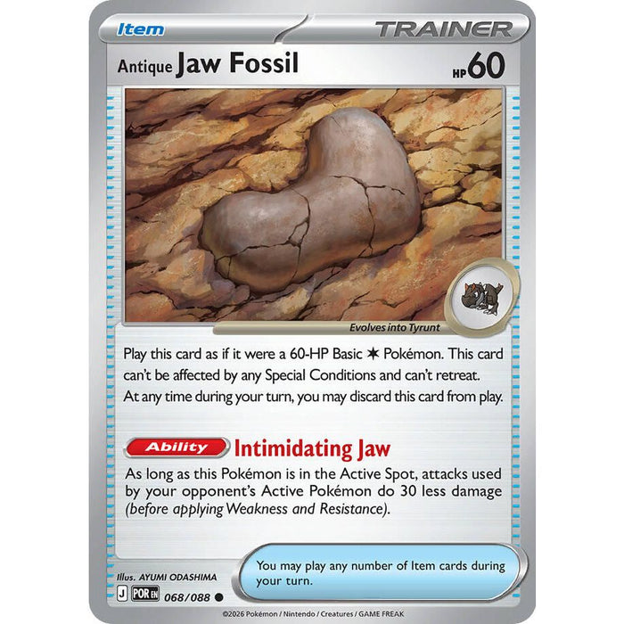 Antique Jaw Fossil