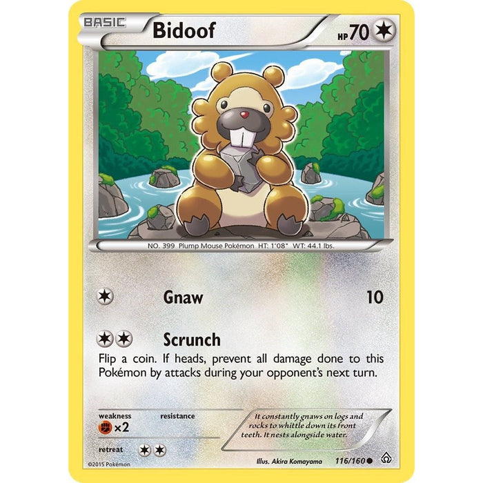 Bidoof [PRC - 116/160]